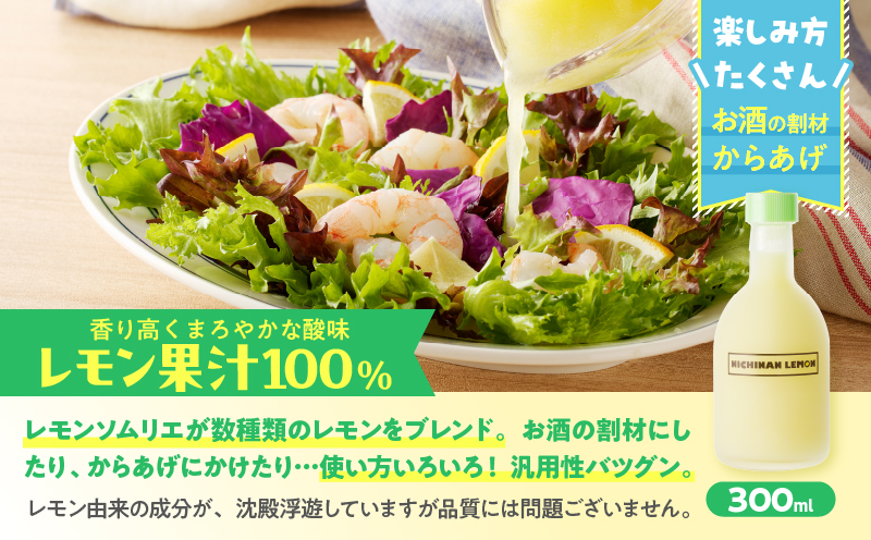 日南レモン シロップ レモン 果汁 オリジナル 2本 セット 合計600ml 果物 フルーツ くだもの れもん 柑橘 ジュース 飲料 国産 食品 オリジナル ブレンド 無添加 保存料不使用 お土産 ギ