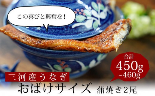 【期間限定】三河産うなぎ　「おばけ蒲焼うなぎ2尾」(2尾合計450～460g)・A126-19