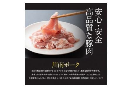 豚肉 川南ポーク豚肉小間切れ2.1㎏ 小分け