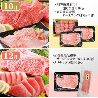 ふるさと納税 枕崎市 1年で6回配送　お楽しみグルメ定期便　FF-6006 |  | 03