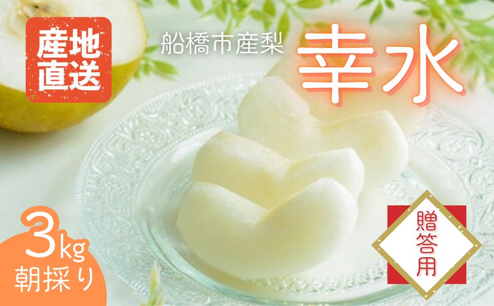 
            【2025年産先行予約】＜贈答用＞ 果汁たっぷりの極上梨「幸水・3kg」6～9玉 千葉県 船橋市産
          
