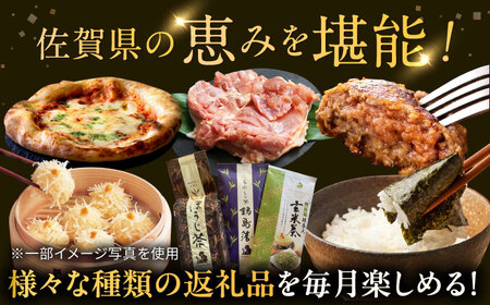 【全6回定期便】 佐賀県プレミアム定期便 / 海苔 いかしゅうまい ハンバーグ 鶏肉 嬉野茶 ピザ / 佐賀県ふるさと納税[41AAZZ015]