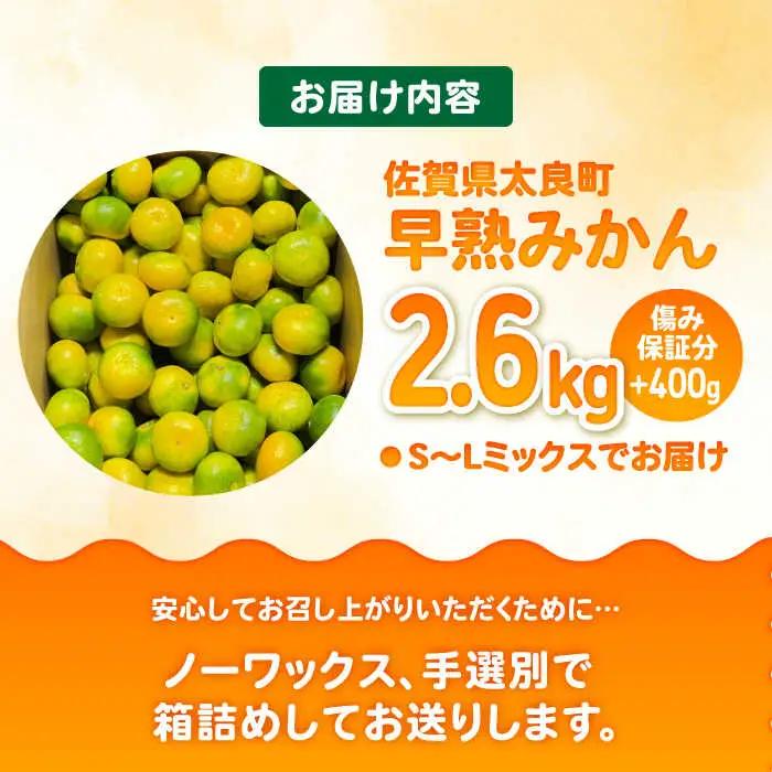 【2026年9月中旬以降発送】早熟みかん 計3kg（2.6kg＋400g傷み保証分） / みかん 柑橘 / 佐賀県 / 山本農園 [41ATBT001]