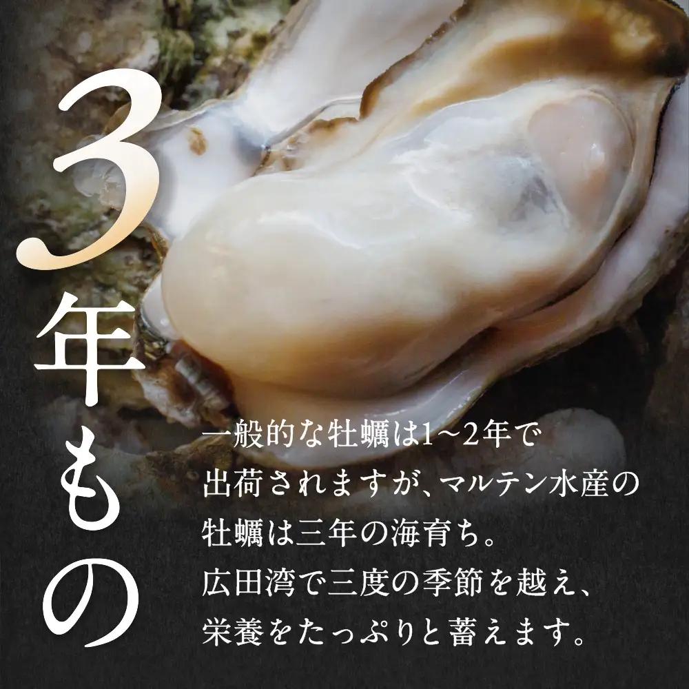 【先行予約】 殻付き生牡蠣 20個 訳あり 三陸産 旬 生牡蠣