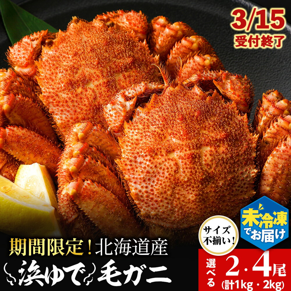 【ふるさと納税】【2026年発送予約】チルドでお届け！ 浜茹で毛ガニ中サイズ 選べる2尾～4尾 （不揃い合計約1kg～2kg） 〈福士水産〉北海道ふるさと納税 利尻富士町 ふるさと納税 北海道 海鮮 かにふるさと納税 北海道 カニ ふるさと納税 北海道 蟹 毛蟹 毛ガニ 冷蔵