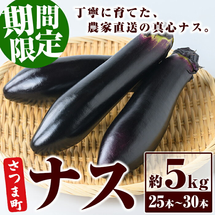 【ふるさと納税】《期間限定》ナス 筑陽 (約5kg・25本～30本) 鹿児島 国産 九州産 茄子 なす なすび 夏野菜 産地直送 農家直送 野菜 ベジタブル 【さつま園芸組合】