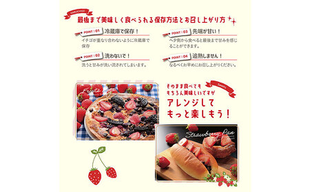 贈答用 白いちご～月のしずく～PREMIUM SIZE　いちご