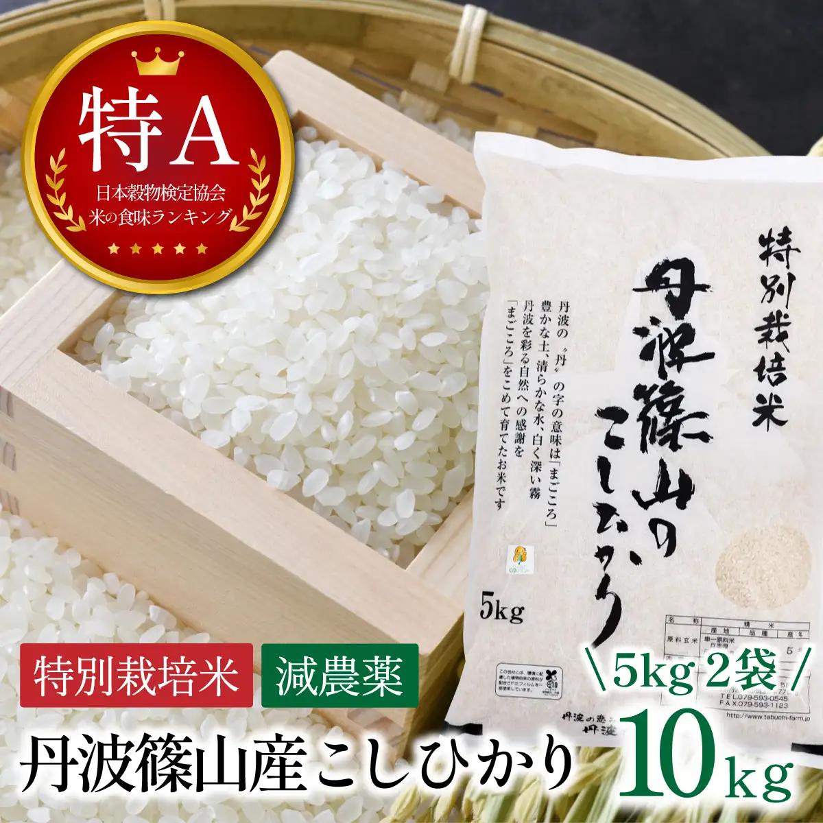〈スピード出荷〉減農薬 特A 丹波篠山産 特別栽培米 こしひかり 10kg 精米 小分け