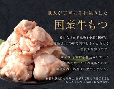AC135.【ダイショー】博多名物もつ鍋セット2～3人前【もつ鍋・醤油味】