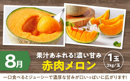 【全3回定期便】北海道の旬 お楽しみ定期便【喜茂別町】 野菜 アスパラ メロン コーン 季節の野菜 北海道 産地直送 定期便 [AJZZ007] 