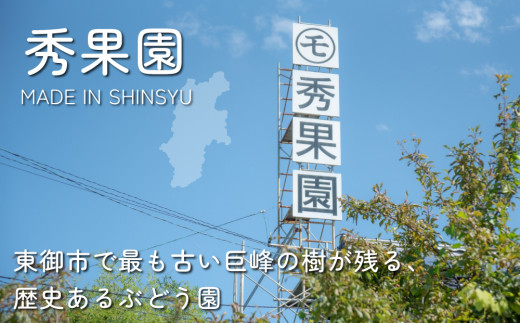 【先行受付2026年発送】種あり巨峰2kg（4~6房）｜秀果園　※2026年9月上旬～10月下旬順次発送予定