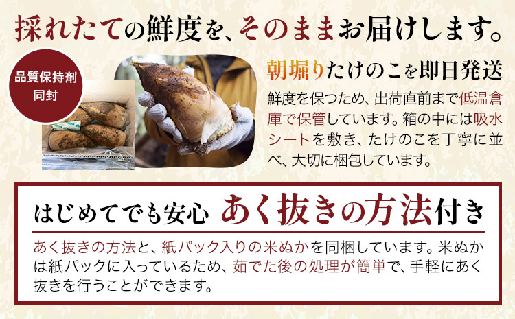＼米ぬか付き／先行受付 令和9年産 特選生たけのこ 食べ比べ 2kg×2回《3月中旬-4月中旬頃出荷》熊本県産 南関 タケノコ 筍 竹の子 掘りたて 採れたて 春 野菜 国産 新鮮 炊き込みご飯 土佐