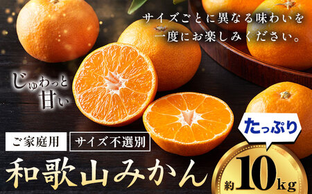 みかん ご家庭用みかん約10kg