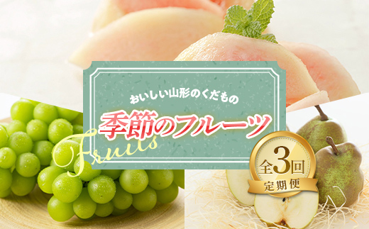 【令和6年産先行予約】 《定期便3回》 おいしい山形のくだもの 季節のフルーツ定期便 『NOWAフルーツ』 山形県 南陽市 [2063]