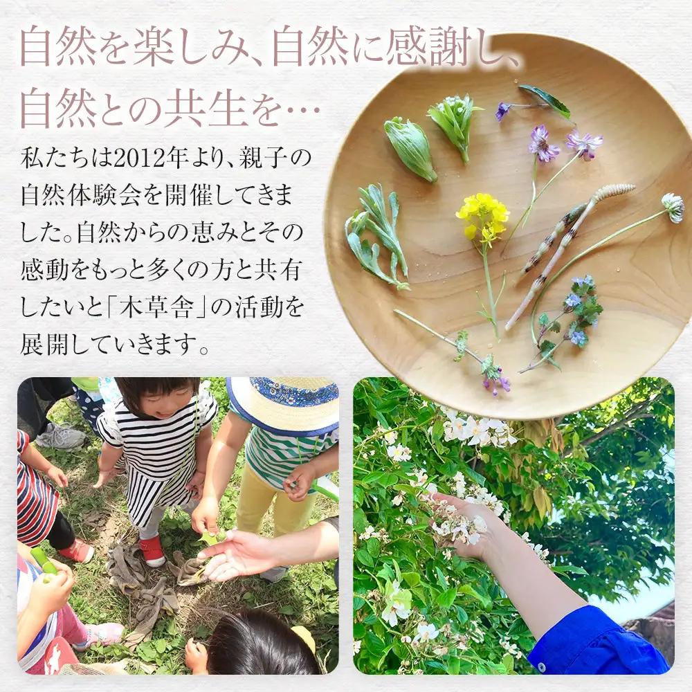 ＜300年生の杉の木目を活かす＞寅の鍋敷き【木草舎ーもくそうやー】 | 鍋敷き