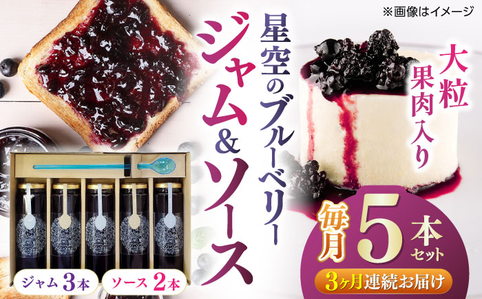 【全3回定期便】星空のブルーベリー　5本詰合せセット（ソース2本＆ジャム3本）【清和の恵み工房】 [YAA016]