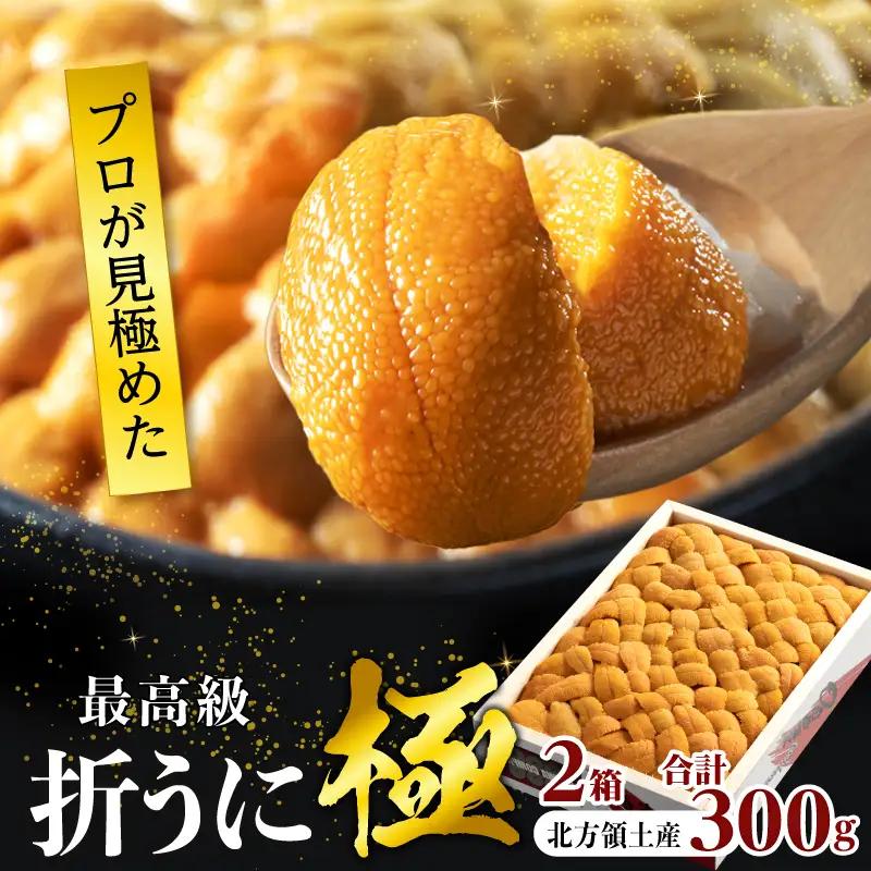 ≪プロ厳選≫最高級折うに(極)計300g うに ウニ 雲丹 折うに 海鮮 海産物 北海道 浜中町 ふるさと納税 人気 年内配送_H0014-111