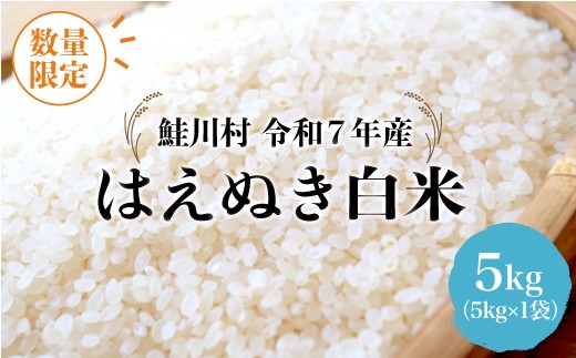 ＜令和7年産 鮭川村 はえぬき＞【白米】 5kg （5kg×1袋）＜配送時期指定可＞ ◇数量限定となります◇
