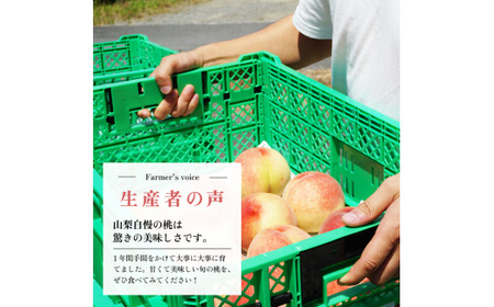 ＜25年発送先行予約＞日本一の生産量 山梨県産 桃 訳あり 不揃い 大容量 8玉～10玉 約2kg | 桃 もも 秀品 高評価 人気 ランキング おすすめ コスパ 甘い 高糖度 美味しい デザート 数