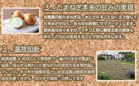 岸上農園　泉州玉ねぎ　約５kg