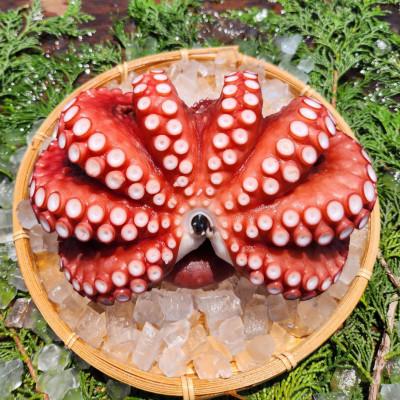 ふるさと納税 茨木市 塩もみタコ |  | 01