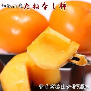 【秋の味覚】和歌山産たねなし柿約7.5kg(L～4Lサイズおまかせ・秀品)(日高町)【配送不可地域：離島】【1276358】