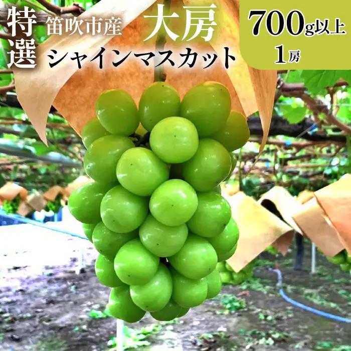 【2026年発送★先行予約】山梨県笛吹市 特選 旬の採れたてシャインマスカット 700g以上　1房 105-013-26y