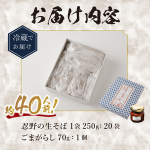富士山の流水で作る”忍野の生そば”20個箱入り+ごまがらし1瓶　約40人前