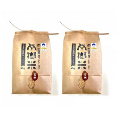 ふるさと納税 五泉市 【毎月定期便】特別栽培米コシヒカリ「南郷米」玄米4kg(2kg×2袋)全6回 |  | 01
