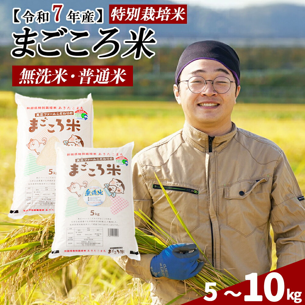 【ふるさと納税】期間限定！【訳あり】【令和7年産】【選べる容量】秋田県特別栽培米あきたこまち「まごころ米」 5〜10kg【無洗米・普通米】 【2025年産 白米 東北産 節約 国産 栄養 のし対応可能 お弁当 真正ファーム 秋田県 大館市】70P9017・140P9007・70P9205・140P9203