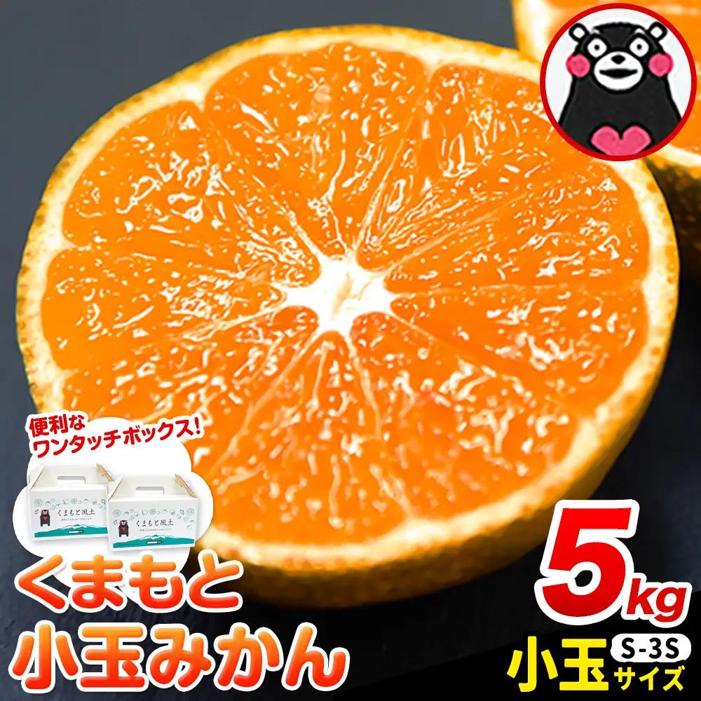 ご家庭用 訳あり くまもと小玉みかん 約5kg(2.5kg×2箱) 熊本県産 S-3Sサイズ 熊本県産 期間限定 フルーツ 秋 旬 柑橘 小玉 みかん 長洲町《30日以内に順次出荷(土日祝除く)》