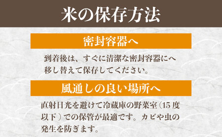 米 新米 10kg 令和7年産 粒すけ