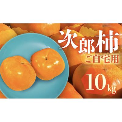 ふるさと納税 豊橋市 FarmSORAの次郎柿(ご自宅用)10kg