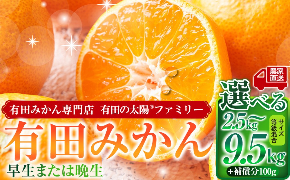 
                  【選べる容量】有田みかん専門店 有田の太陽®ファミリー 早生または晩生 有田みかん 2.5～9.5kg＋補償分100g 山採れ・サイズ・等級 混合
                