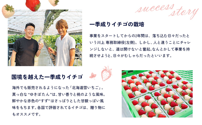 【北海道産】ゆきいちご（ゆきぼたん/紅ほっぺ）白×ＭＩＸ　2Ｐセット　各250g×2 計500g【59002】_イメージ4