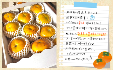 訳あり 柿 約2kg 太秋柿 KiyomotoFarm