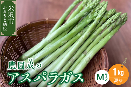 《 先行予約 》【 令和7年産 夏芽 】 アスパラガス M 1kg （ 細物 M以下 ）〔 2025年 7月中旬頃 ～ 発送予定 〕 アスパラ 野菜 農園成 産地直送 農家直送 2025年産