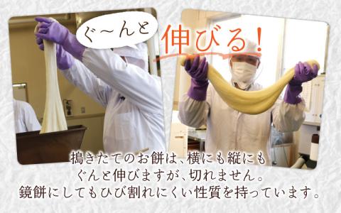 【先行予約】【年内配送】杵つき餅セット 32個 1.5kg分 丸もち 角もち 大野産たんちょうもち米【12月24日までの入金確認分は年内お届け】[A-011012]