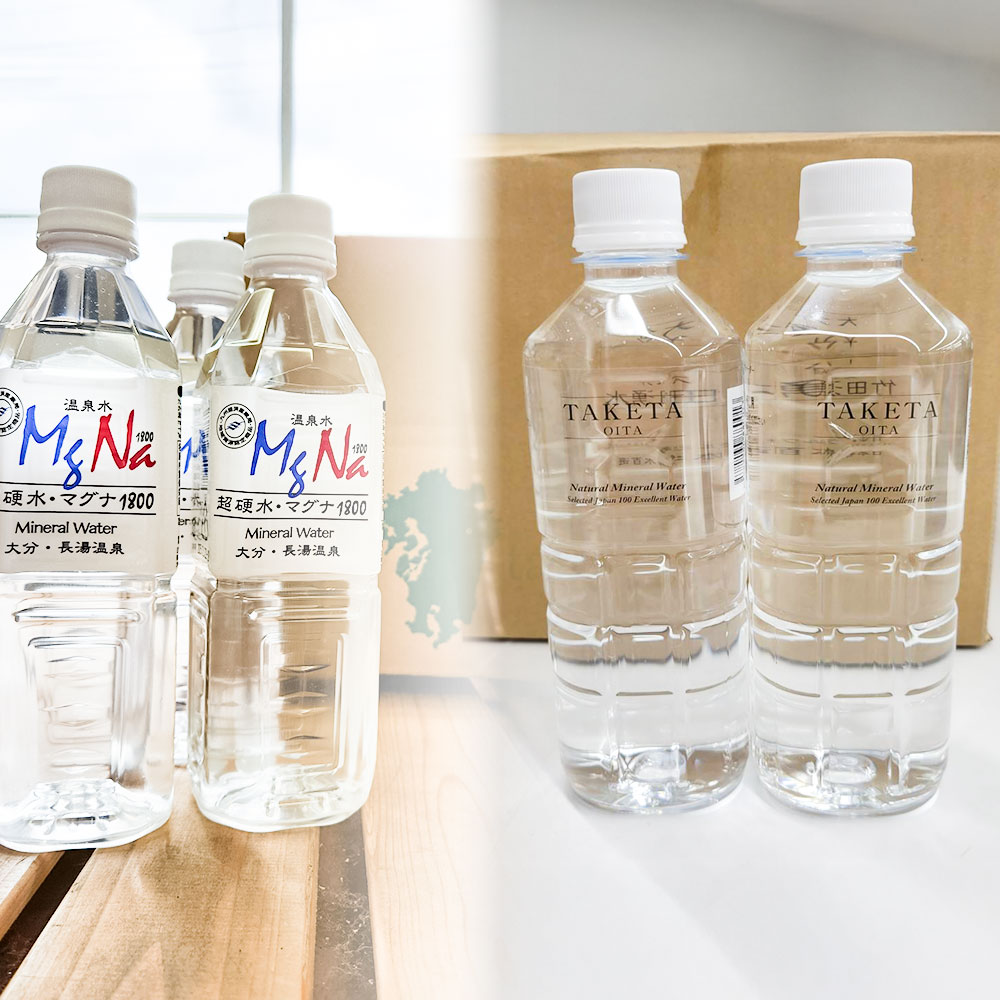 【ふるさと納税】竹田の水セット 「マグナ1800」・「竹田湧水」 計10L（500ml×20本（各10本）） 硬水ミネラルウォーター ケイ素 サルフェート 飲料水 水 みず ペットボトル 大分県産 国産 九州 大分県 竹田市 送料無料