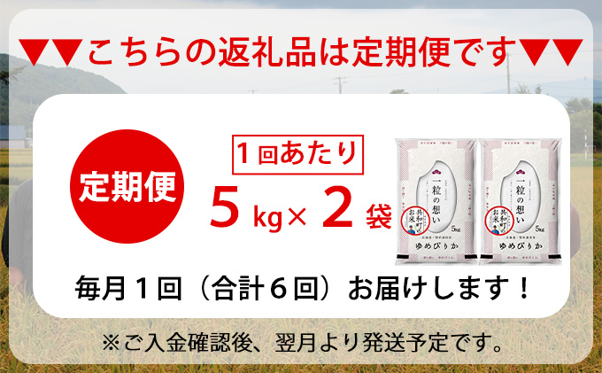 令和5年産  定期便 6ヵ月連続お届け ゆめぴりか 10kg 精米 北海道 共和町