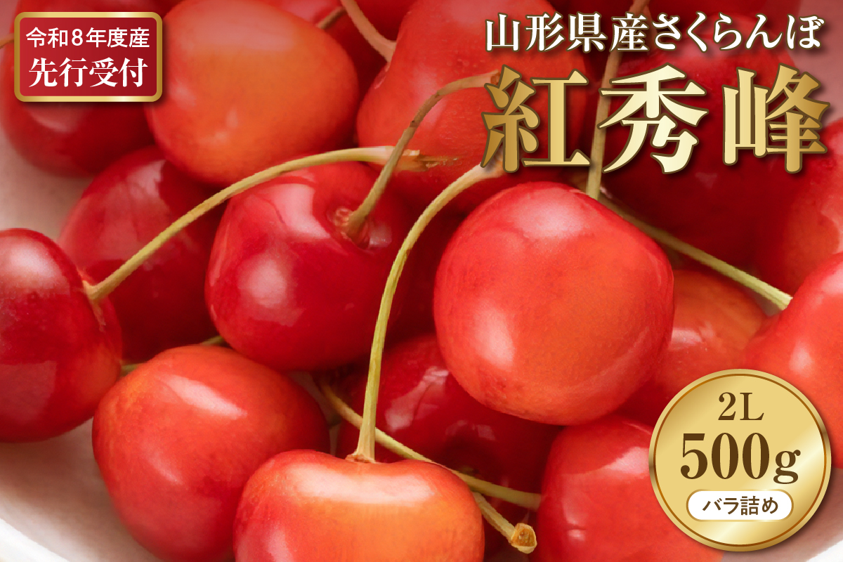 【2026年産先行予約】さくらんぼ紅秀峰 秀以上 2L 500g以上(500gバラ詰め×1パック)山形県河北町産【晴天畑】ka073-010