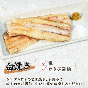 あなご開き 800g 2～3パック あなご 蒲焼 お吸い物 天ぷら 煮穴子 和食 海産物 味噌汁 ごはん 夕飯 おか 大船渡 三陸 岩手県 国産
