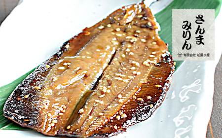干物 詰め合わせ 6種 13点 食べ比べ 松屋水産 干物【mtys0001】
