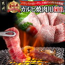 【ふるさと納税】宮崎牛カルビ焼肉用600g - 都城産宮崎牛 カルビ焼き肉用 300g×2 小分け 真空パック カルビ肉 ブランド牛 黒毛和牛 やき肉 冷凍配送 牛肉 A4 A5 BBQ 国産 バーベキュー お肉 送料無料 16-2501 【宮崎県都城市は2年連続ふるさと納税日本一！】