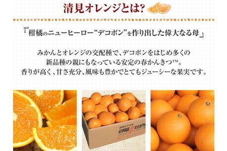清見オレンジ 約8kg / 果実サイズおまかせ ※2026年2月中旬～2026年4月下旬頃発送予定　紀伊国屋文左衛門本舗【ntb401C】