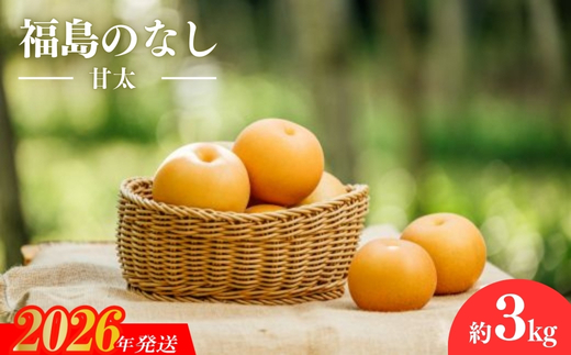 No.3060 宍戸果樹園　旬の特選梨（甘太3kg）【2026年発送　先行予約】