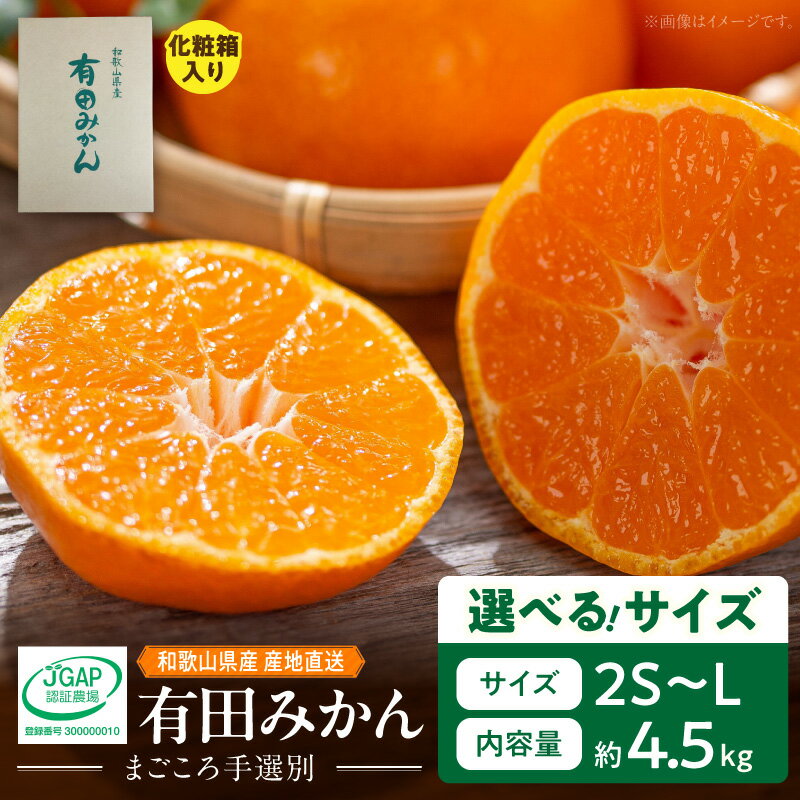 【ふるさと納税】有田みかん 化粧箱入り 4.5kg 選べる サイズ 2S ～ Lサイズ 和歌山県産 産地直送 皮が剥きやすい バランスのとれた甘さ まごころ手選別 みかん 蜜柑 温州みかん 柑橘 和歌山 ギフト用 贈答用 和歌山県 湯浅町 お取り寄せ 送料無料