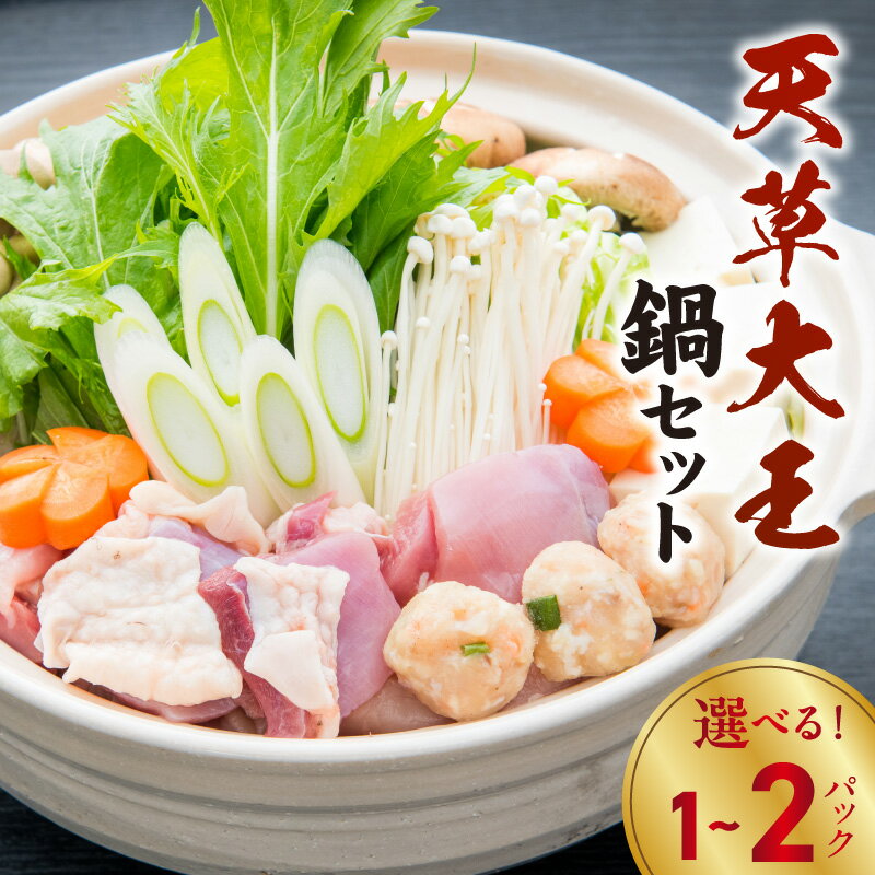 【ふるさと納税】天草の味 まるごと 天草大王 水炊き 鍋セット 選べる 内容量 1パック 2パック 鶏肉 濃縮スープ つみれ 麺 柚子胡椒 セット 幻 ブランド鶏 国内最大級 地鶏 押し包丁麺 鶏ガラ 自家製スープ 冷凍発送 鍋 お取り寄せ お取り寄せグルメ 熊本県 天草市 送料無料