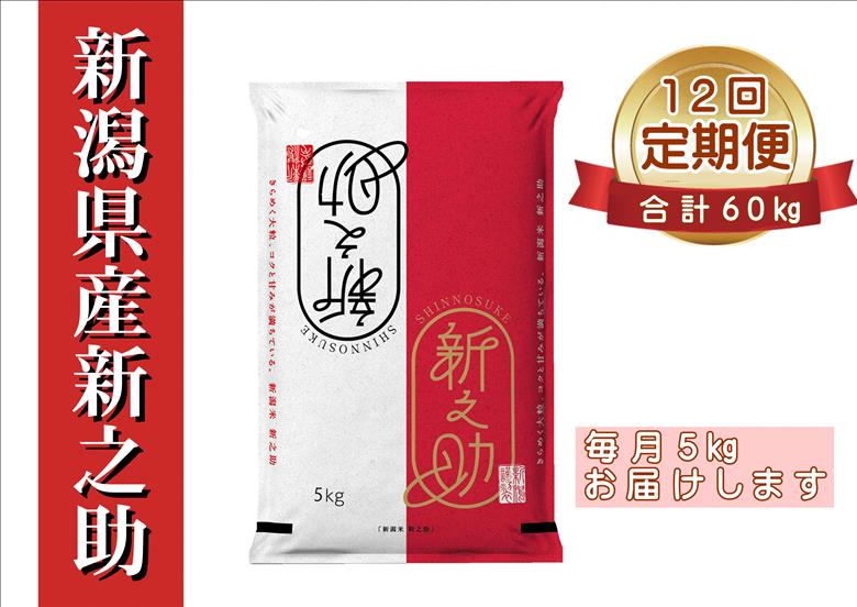 【令和8年産新米予約】【12ヶ月定期便】 新之助 5kg×12回 計60kg  11月上旬より順次発送予定 1I22121