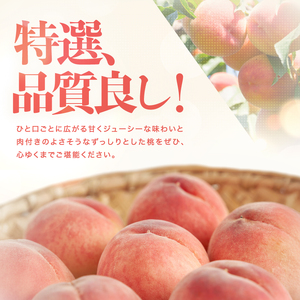 【収穫当日出荷】 長野県 飯田産 特選 完熟 桃 あかつき 約2kg【2026年7月中旬～8月下旬発送】